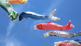 【日本永住Navi】永住と帰化のちがい