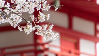 【日本永住Navi】日本の永住権の申請はいくらかかりますか？