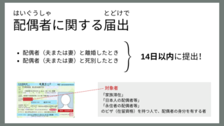【日本の生活Tips】配偶者と離婚したとき、死別したときの手続き【配偶者に関する届出】